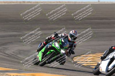 media/Jan-13-2024-SoCal Trackdays (Sat) [[9c032fe5aa]]/Bowl Exit Set 1 (1125am)/